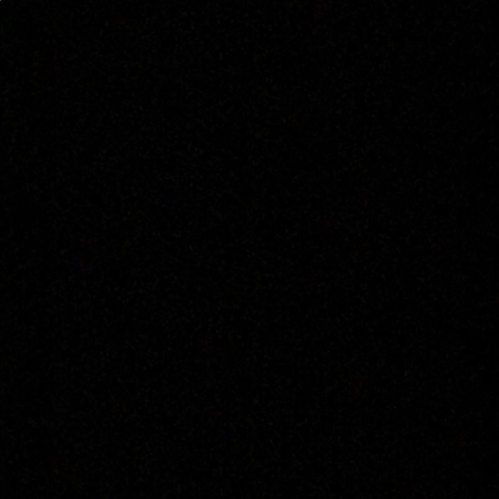 Meet your Posher, Kinsley